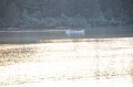 Scenery_010